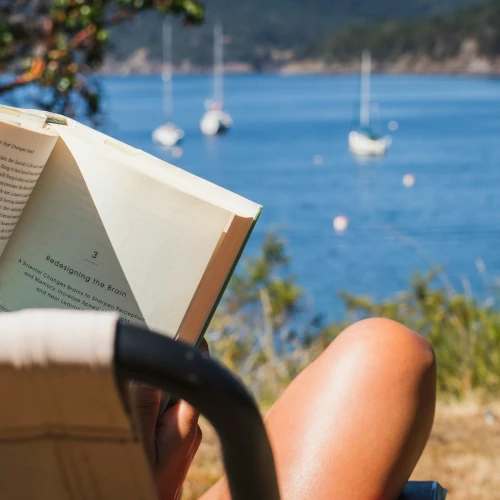 Eine Frau liest ein Buch am Ostsee-Radweg